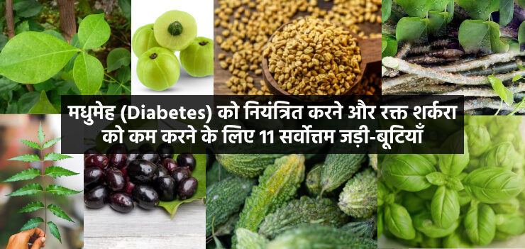 11 Best Herbs to Control Diabetes and Lower Blood Sugar - hindi