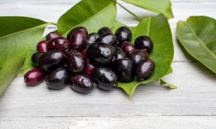 Jamun